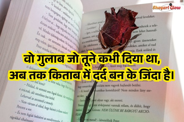 Sad shayari on gulab